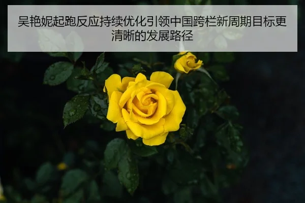 吴艳妮起跑反应持续优化引领中国跨栏新周期目标更清晰的发展路径