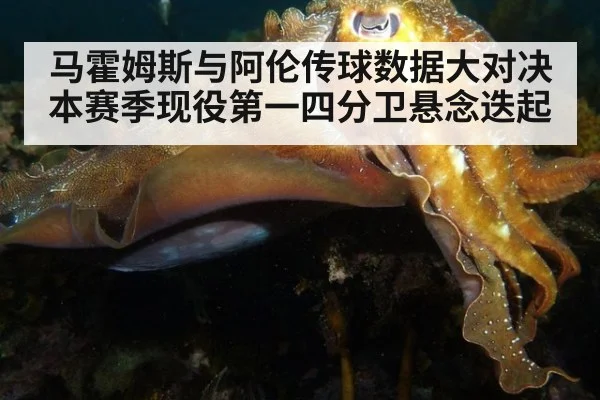 马霍姆斯与阿伦传球数据大对决 本赛季现役第一四分卫悬念迭起