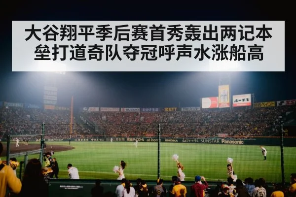 baseball stadium night game