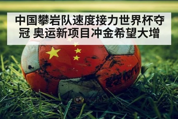 中国攀岩队速度接力世界杯夺冠 奥运新项目冲金希望大增